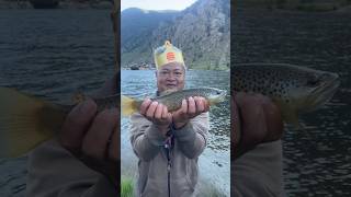 Fishing At Georgetown Lake In Georgetown Colorado Beautiful Brown Trout fishing shorts world [upl. by Kinimod]