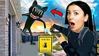 KARTON KEDİCANAVAR OLDU CARTOON CAT ÖZLEM GÖK [upl. by Buchheim]