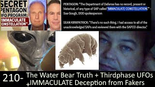 Live Chat with Paul 210 The Water Bear Truth  UFO vids  Thirdphase Noise Immaculate Deception [upl. by Nawak]