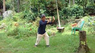 Shibashi  The 18 movements with instruction Tai ChiQigong [upl. by Hershell402]