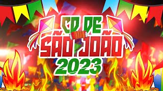 CD SÃO JOÃO 2023  ATUALIZADÃO MÉDIO GRAVE PRA PAREDÃO 2023  REPERTÓRIO NOVO [upl. by Hgiel]