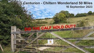 Centurion Chiltern Wonderland 50miles 2023  Will the calf hold out [upl. by Ranjiv]