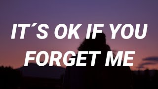 Astrid S  It´s Ok If You Forget Me Lyrics [upl. by Nordgren889]