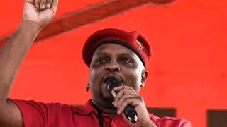 Deputy President of the EFF Floyd Shivambu at Umtata [upl. by Hafirahs]