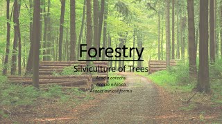 Silviculture of trees  Indian Forestry Lecture1 [upl. by Pyszka452]