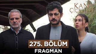 Kan Çiçekleri 275 Bölüm Fragmanı  18 Mart Pazartesi [upl. by Zitella]