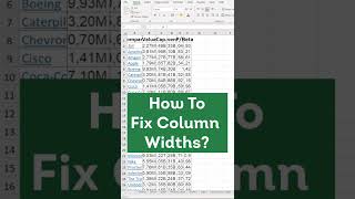 How To Fix Column Widths in Excel Autofit Column Width [upl. by Musette]