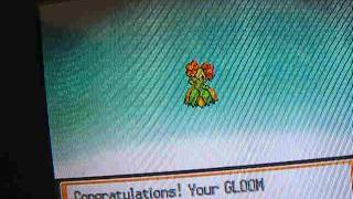 pokemon heartgold how to get bellossom and vileplume [upl. by Meriel]