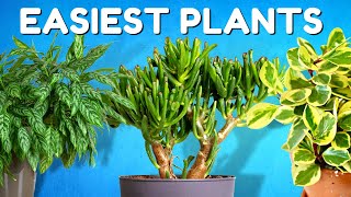 10 Unkillable Plants You Need in Your Home [upl. by Agan]