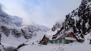 Traseu in Muntii Bucegi iarna Rasnov  Valea Malaiesti  Cabana Malaiesti [upl. by Elias88]