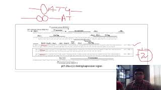 Cloning of heterologous protein in the bacterial system through pET28 series Vectors [upl. by Yolane675]