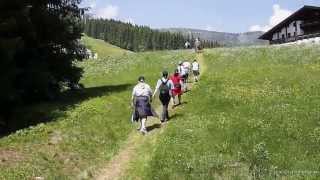 Wandern in Zell am See Salzburger Land Österreich Herrliche Sommerwanderung auf der Schmittenhöhe [upl. by Itak]