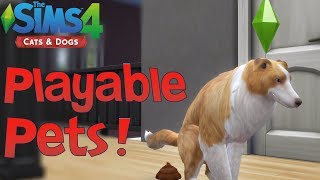 The Sims 4 Cats amp Dogs Playable Pets Mod Showcase [upl. by Eentroc]