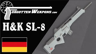 HampK SL8 The Civilian G36 [upl. by Yrolam995]