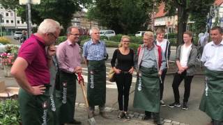 Hopfenpflanzen wachsen in der Einbecker Innenstadt [upl. by Ised]