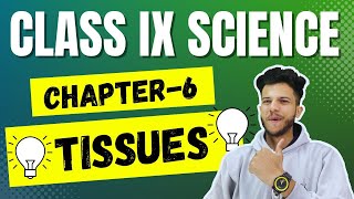 Tissues Class 9 Ch 6 Tissues Most Important QuestionsCh 6 Class 9 Science Tissues [upl. by Akel]