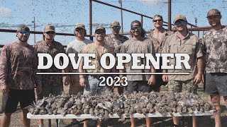 The Ultimate Dove Hunting Video  Louisiana Dove Opener 2023 [upl. by Lenej]