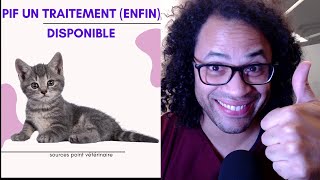 PIF du chat un traitement enfin disponible [upl. by Zorina]