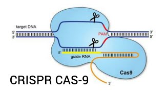 CRISPRCas9 Technology  Mechanism explained [upl. by Coltson]