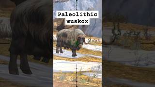 Shooting game  catching Paleolithic muskox herasChannel gametime88888 [upl. by Alys]