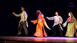 Palestinian Dabke Dance Troupe from Lajee Center Perform in Scotland 2013 [upl. by Dahc]