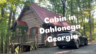 Cabin and Woods in Dahlonega Georgia [upl. by Kcirdnekal]