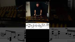 Walking Home vibraphone solo music percussion musicalinstruments [upl. by Waldemar]