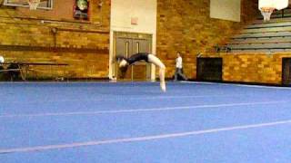 Tecumseh High School Gymnastics [upl. by Einahpet791]