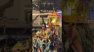 Mysore Dasara Clip mysore dasara statusworld [upl. by Onateag832]