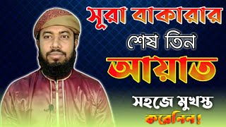 surah bakarar sesh 2 ayat  সূরা বাকারার শেষ দুই আয়াত  ঘুমানোর পূর্বে ১ বার হলেও পড়ে নিন [upl. by Lunt]