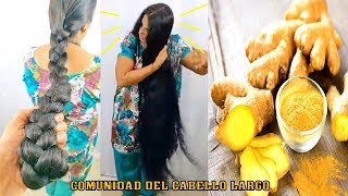 BENEFICIOS Y PROPIEDADES DEL JENGIBRE ¡¡4 IDEAS PARA EL CABELLO [upl. by Leahcimluap]