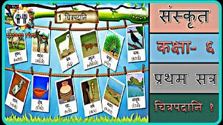 SANSKRIT Std 6 Sem 1 Chapter Chitrapadani 1 quotचित्रपदानि १ [upl. by Dutchman]