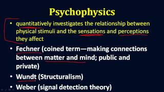 Psychophysics [upl. by Fredela]