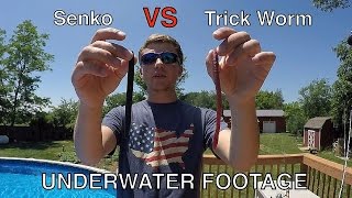 Senko VS Trick Worm  Bass Fishing Tips and Techniques [upl. by Horwitz]