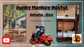 Funky Monkey hostel Review Anjuna Goa  Hostels of India  Budget traveller hostel  Riddhi vlogs [upl. by Critchfield]