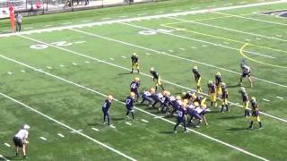 Myles 21 amp Myren Harris 20 Twin Brothers Youth Football Highlights [upl. by Acinelav]