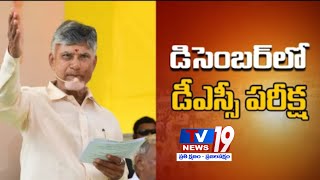 డిసెంబర్‌లోడీఎస్సీపరీక్షDSCExaminDecemberCMNaraChandrababuNaiduTV 19 [upl. by Whitaker951]