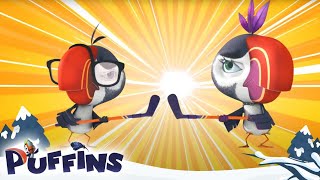 Puffins  Hockey Game  Cartoon For Kids  Puffins World [upl. by Finer]