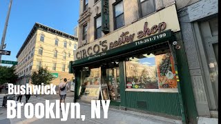 Bushwick Brooklyn NY walking tour [upl. by Liagaba]