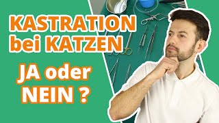 Kastration bei Katzen  JA oder NEIN Wann ist der richtige Zeitpunkt Gibt es Risiken [upl. by Nezam]