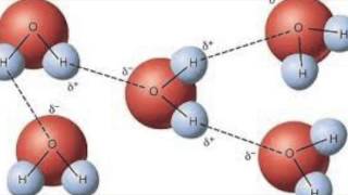 The Hydrophobic Effect [upl. by Notneb]