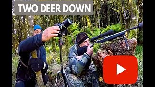 Red deer double Ruahine Range with Ruahine hunter [upl. by Nedry]