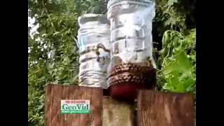 Wasp Traps in action very easy to make cut top of bottle remove lid and invert [upl. by Frodi]