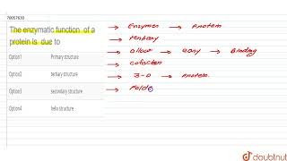 The enzymatic functionof a protein isdue to  CLASS 11  BIOMOLECULES  BIOLOGY  Doubtnut [upl. by Beetner342]