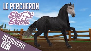 ACHAT DU PERCHERON GRIS FONCÉ  Star Stable  SSO [upl. by Haodnanehs104]