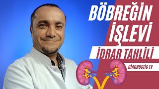 BÖBREK FONKSİYONU İDRAR TAHLİLİ  Hangi Değerler Ne Anlama Gelir [upl. by Aracahs]