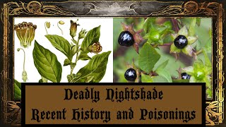 Deadly Nightshade  Recent History and Poisonings  A Witchs Poisons in Depth [upl. by Brower713]