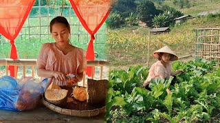 18 year old single mother Harvesting vegetables to sell and receiving unexpected gifts [upl. by Mayworm171]