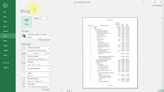 How to Print Page Numbers in Excel [upl. by Barbee497]