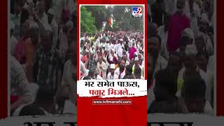 Ichalkaranji मधील सभेत पाऊस Sharad Pawar भिजले  Vidhan Sabha [upl. by Imoin]